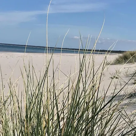 Σπίτι διακοπών Cosy Flat In With Garden