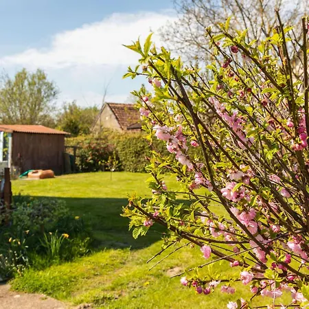 Cosy Flat In With Garden *