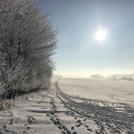 Σπίτι διακοπών Cosy Flat In With Garden *