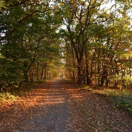 Σπίτι διακοπών Cosy Flat In With Garden
